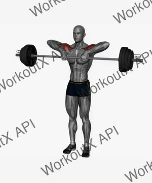 Upright Row Barbell exercise demonstration