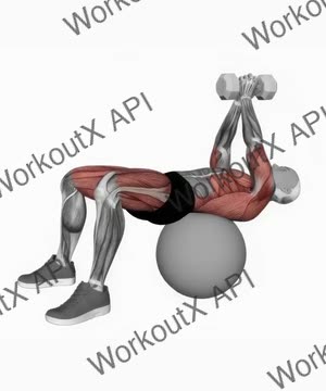 Dumbbell Pullover Hip Extension on Exercise Ball exercise demonstration