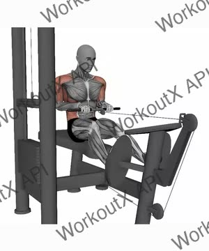 Straight Bar Cable Row Close Grip exercise demonstration