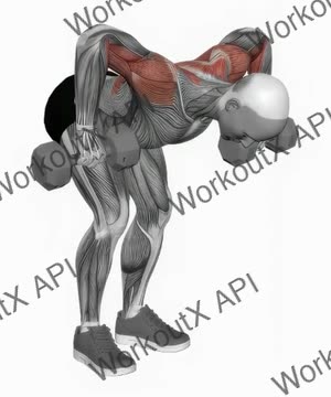 Dumbbell Bent Over Face Pull exercise demonstration