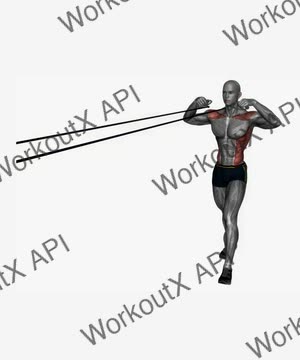 Resistance Band Face Pull exercise demonstration