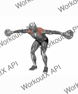 Plate Internally Rotated Rear Delt Fly exercise demonstration
