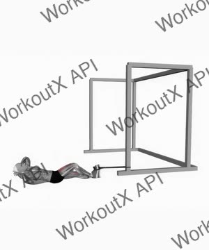 Band Bicycle Crunch exercise demonstration