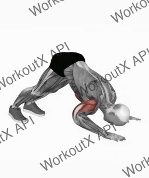 Pike Push Up exercise demonstration