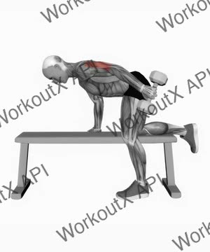 Dumbbell Kickback exercise demonstration