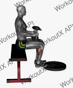 Seated Calf Raises Dumbbell on Knee exercise demonstration