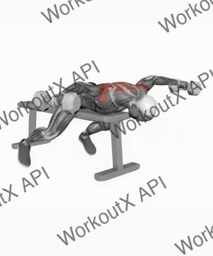Dumbbell Lying Rear Lateral Raise exercise demonstration