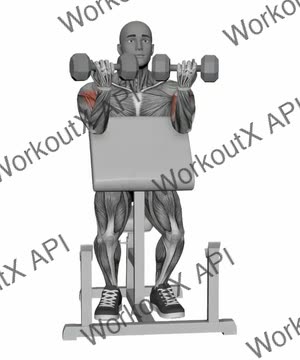 Preacher Curl Dumbbells Simultaneous exercise demonstration