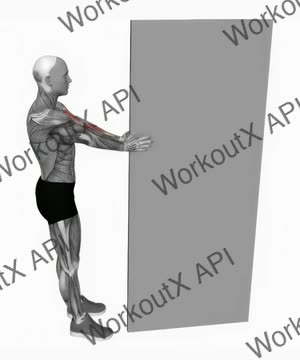 Doorway Biceps Curl exercise demonstration