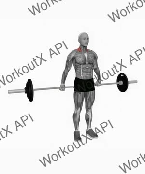 Barbell Back Wide Shrugs exercise demonstration
