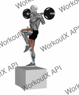 Barbell Step Up Balance on Box exercise demonstration