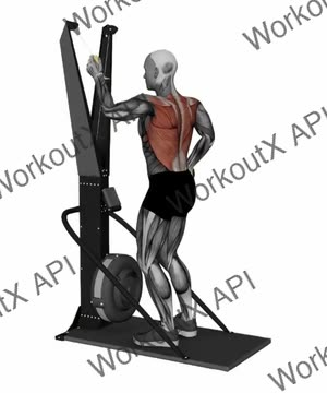 Ski Ergometer Cross Country Ski Alternating Arm Pull exercise demonstration