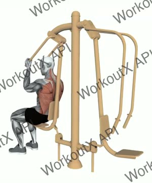 Push Pull Chair Over Head Pull exercise demonstration