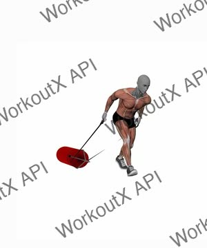 Heavy Bag Sled Drag exercise demonstration