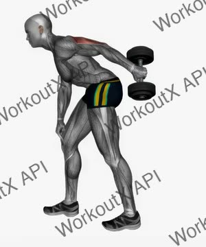 Dumbbell Triceps Kick Back Single Arm exercise demonstration