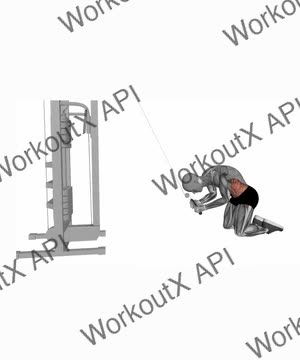 High Cable Kneeling Crunch exercise demonstration
