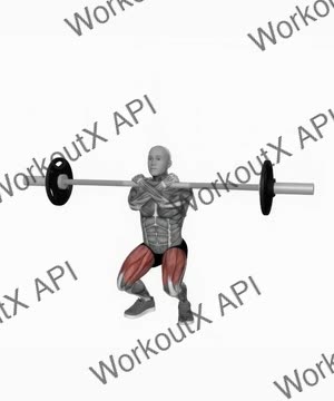 Barbell Front Squats exercise demonstration