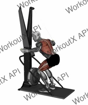 Ski Ergometer Cross Country Ski Squat Wide Lat Pull exercise demonstration
