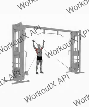 Cable Y Raise exercise demonstration