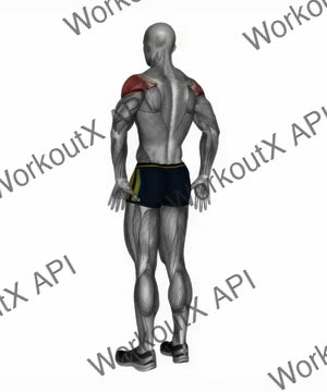 Arms Behind Back Shoulder Flexor Stretch exercise demonstration