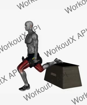 Dumbbell Bulgarian Box Split Squat exercise demonstration