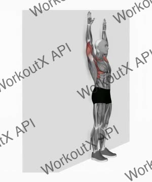 Bodyweight Standing Military Press Wall Supported exercise demonstration