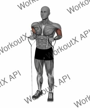Drag Curl Resistance Band exercise demonstration