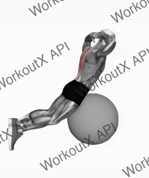 Exercise Ball Back Extension With Hands Behind Head exercise demonstration