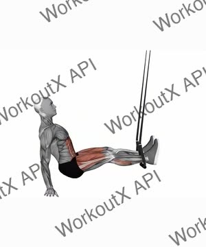 Suspension Trainer With Grips Pull Through exercise demonstration