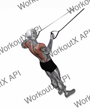 Suspension Trainer With Grips Rear Delt Row exercise demonstration
