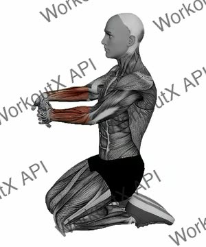 Kneeling Forearm Flexor Stretch exercise demonstration
