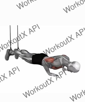 Suspension Trainer With Grips Decline Push-Up exercise demonstration