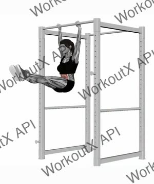 Hanging Leg Raises exercise demonstration