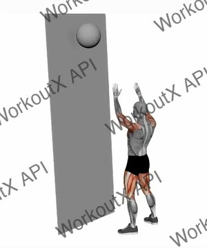 The Wall Ball exercise demonstration