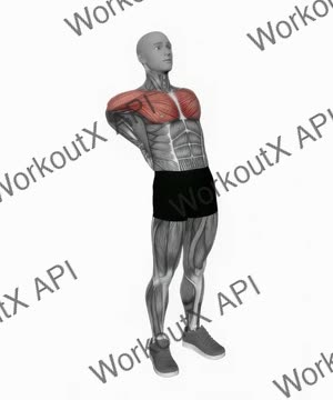 Elbows Back Stretch exercise demonstration