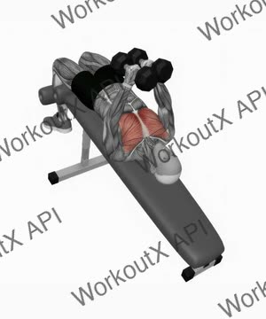 Dumbbell Decline Fly exercise demonstration