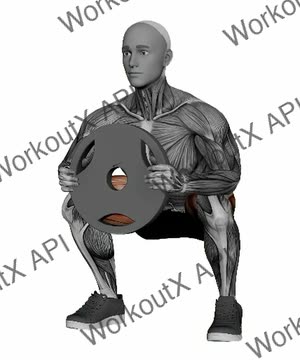 Plate Squat Hold exercise demonstration
