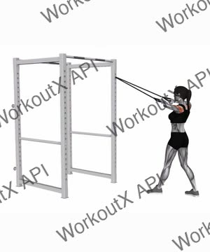 Band Standing Rear Delt Row exercise demonstration