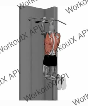Chin Up Reverse Close Grip exercise demonstration