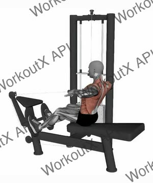 Seated Normal Grip Row Machine exercise demonstration