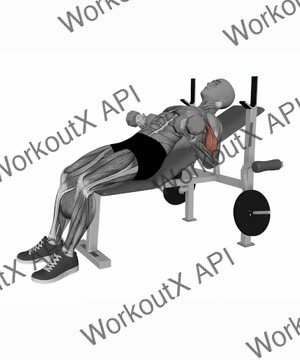 Incline Dumbbell Curl exercise demonstration