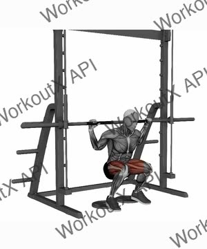 Smith Machine Narrow Stance Heels Elevated Squats exercise demonstration