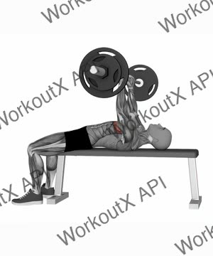 Barbell Bench Press exercise demonstration