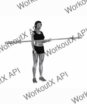 Barbell Alternate Biceps Curl exercise demonstration