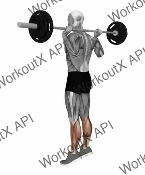 Barbell Calf Jump exercise demonstration
