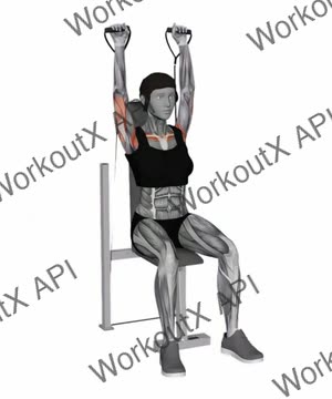Band Seated Shoulder Press exercise demonstration