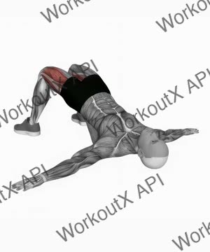 Bridge Hip Abduction exercise demonstration