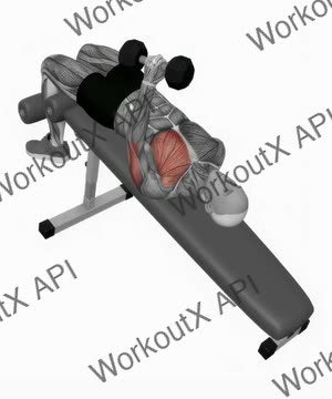 Dumbbell Decline One Arm Hammer Press exercise demonstration