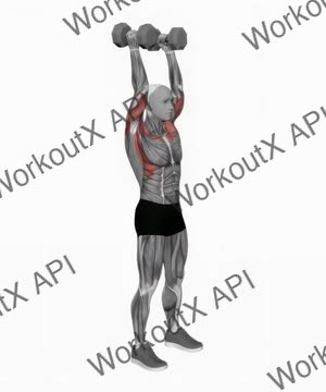 Dumbbell Standing Palms in Press exercise demonstration