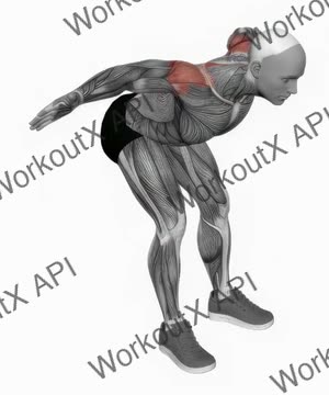 Bodyweight Bent Over Rear Delt Fly exercise demonstration